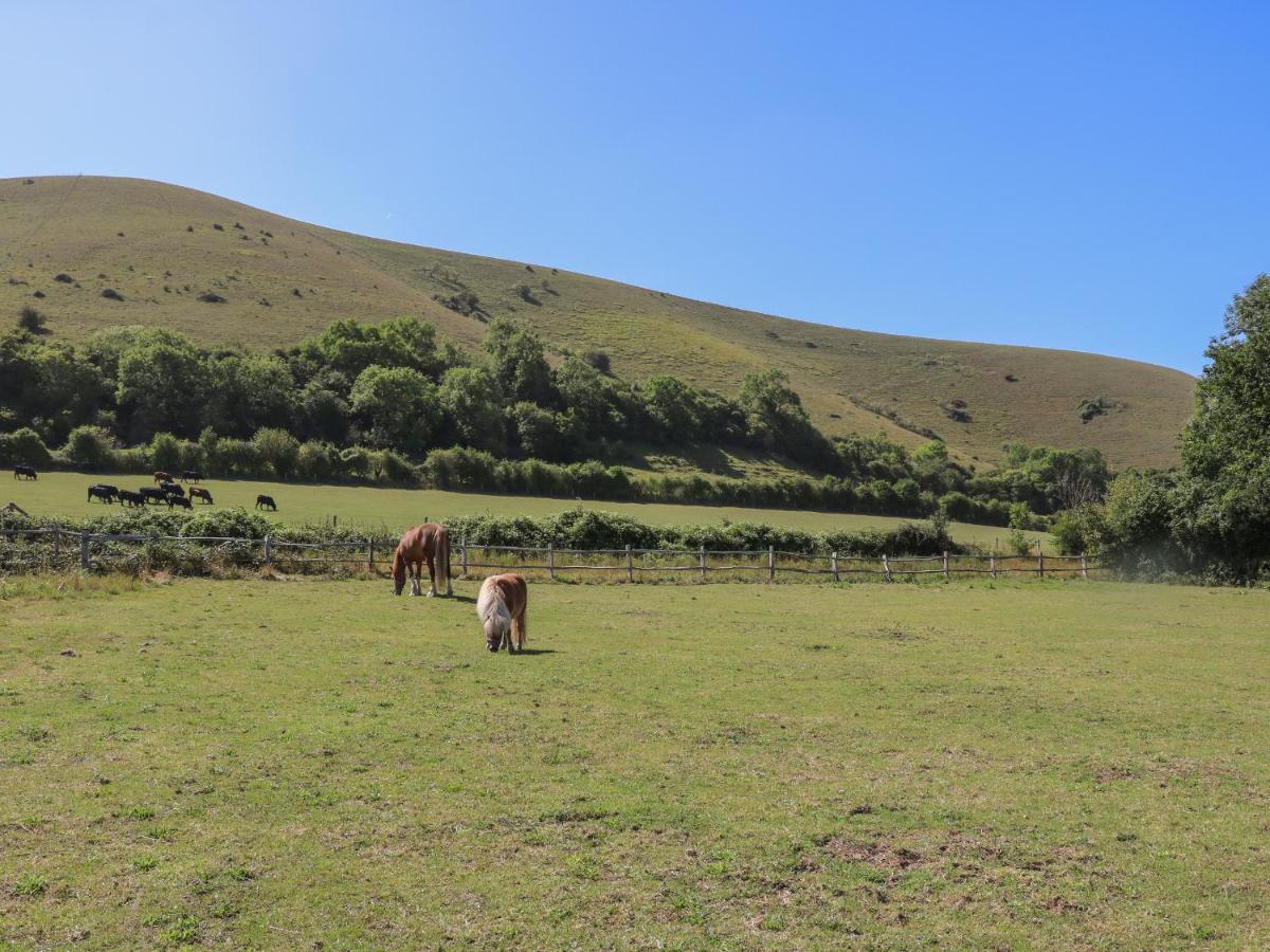 1 Paythorne Farm Cottages Henfield Екстериор снимка